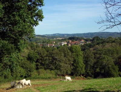 Anzeme vue sur le Bourg à partir du Theil